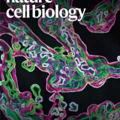 Nature Cell Biology-Volume 27 Issue 6, June 2025 电子版PDF