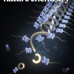 Nature Chemistry-Volume 17 Issue 10, October 2025 电子版PDF