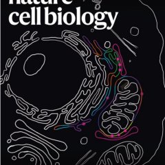 Nature Cell Biology-Volume 27 Issue 8, August 2025 电子版PDF