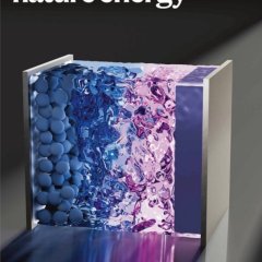 Nature Energy-Volume 10 Issue 7, July 2025 电子版PDF