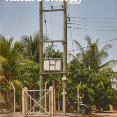Nature Energy_Volume 10 Issue 3, March 2025 电子版PDF