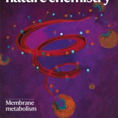Nature Chemistry-Volume 17 Issue 6, June 2025 电子版PDF
