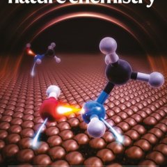 Nature Chemistry-Volume 17 Issue 8, August 2025 电子版PDF