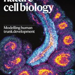 Nature Cell Biology-Volume 27 Issue 12, December 2025 电子版PDF