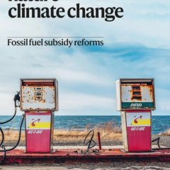 Nature Climate Change-Volume 15 Issue 5, May 2025 电子版PDF