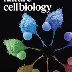 Nature Cell Biology_Volume 27 Issue 3, March 2025 电子版PDF