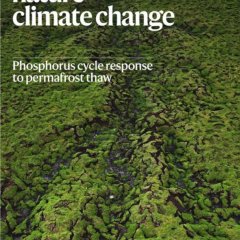 Nature Climate Change-Volume 15 Issue 11, November 2025 电子版PDF