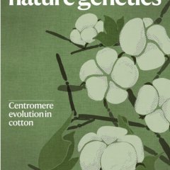 Nature Genetics_Volume 57 Issue 4, April 2025 电子版PDF