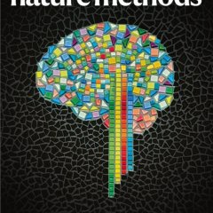 Nature Methods_Volume 22 Issue 2, February 2025 电子版PDF