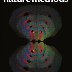 Nature Methods-Volume 22 Issue 5, May 2025 电子版PDF