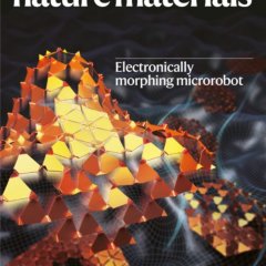 Nature Materials_Volume 24 Issue 1, January 2025 电子版PDF