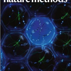 Nature Methods-Volume 22 Issue 10, October 2025 电子版PDF