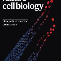 Nature cell biology-Volume 27 Issue 7, July 2025 电子版PDF