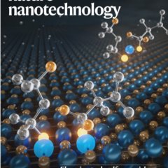 Nature Nanotechnology_Volume 20 Issue 3, March 2025 电子版PDF