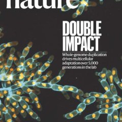 Nature magazine-2025.03.20 电子版PDF