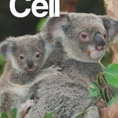 Cell Press_2025.04.17 电子版PDF