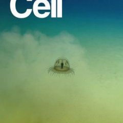 Cell Press_2025.03.06 电子版PDF