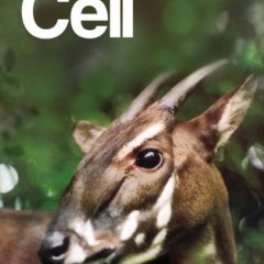 Cell Press_2025.06.12 电子版PDF