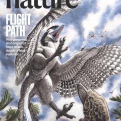 Nature magazine-2025.05.29-双语版 电子版PDF