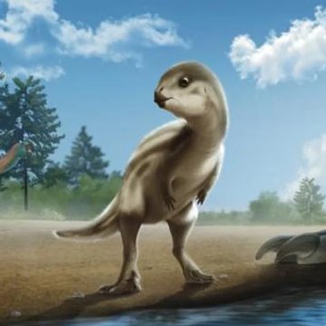 科学家因卡通人物而命名新发现的幼年恐龙