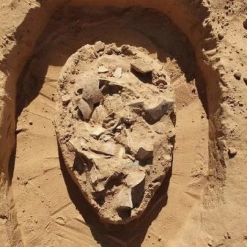 在以色列南部沙丘下发现7000年前的鸵鸟蛋集合