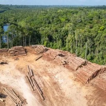 新工具可提前预测野生动物遗传崩溃