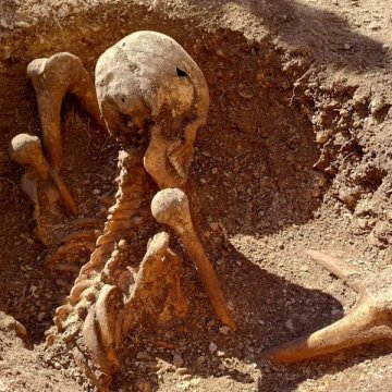 孩子们在游乐场旁发现神秘古代骨架