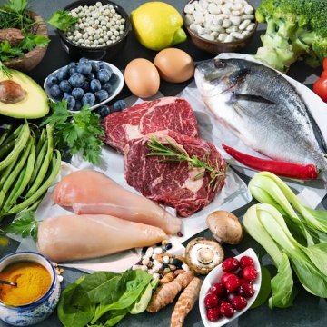 古希腊饮食从未存在科学家发现早期人类真正进食的食物