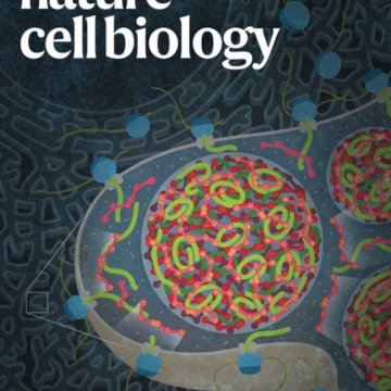 Nature Cell Biology-Volume 27 Issue 11, November 2025 电子版PDF