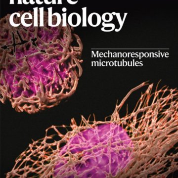 Nature Cell Biology-Volume 27 Issue 10, October 2025 电子版PDF