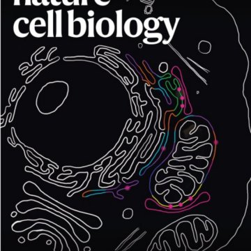 Nature Cell Biology-Volume 27 Issue 8, August 2025 电子版PDF