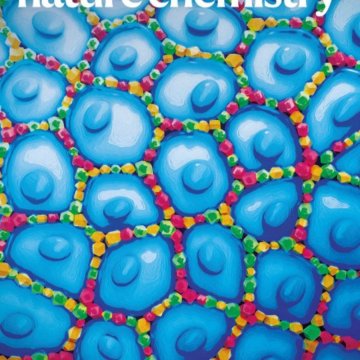 Nature Chemistry-Volume 17 Issue 7, July 2025 电子版PDF