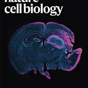 Nature Cell Biology-Volume 27 Issue 9, September 2025 电子版PDF