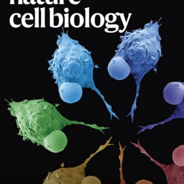 Nature Cell Biology_Volume 27 Issue 3, March 2025 电子版PDF