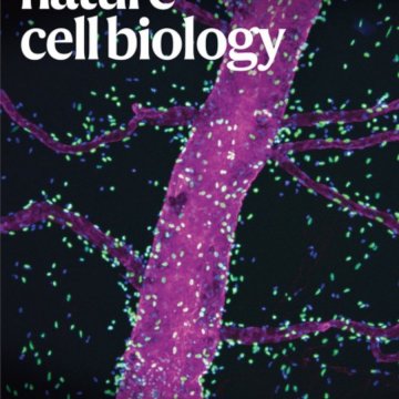 Nature Cell Biology-Volume 27 Issue 5, May 2025 电子版PDF