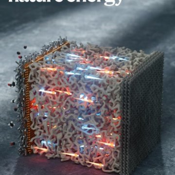 Nature Energy-Volume 10 Issue 10, October 2025 电子版PDF
