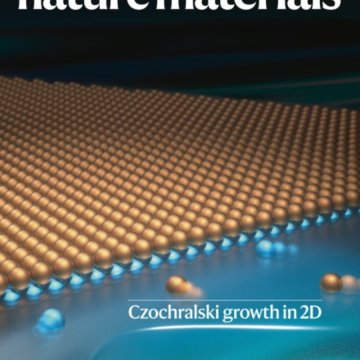 Nature Materials_Volume 24 Issue 2, February 2025 电子版PDF