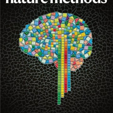 Nature Methods_Volume 22 Issue 2, February 2025 电子版PDF