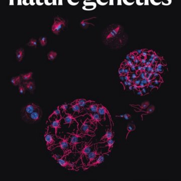 Nature Genetics-Volume 57 Issue 12, December 2025 电子版PDF