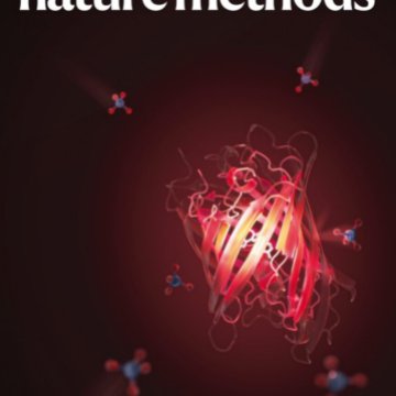 Nature Methods-Volume 22 Issue 6, June 2025 电子版PDF