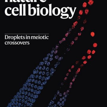Nature cell biology-Volume 27 Issue 7, July 2025 电子版PDF