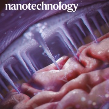 Nature Nanotechnology-Volume 20 Issue 9, September 2025 电子版PDF