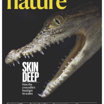 Nature magazine-2025.01.09 电子版PDF