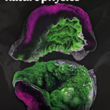 Nature Physics_Volume 21 Issue 2, February 2025 电子版PDF
