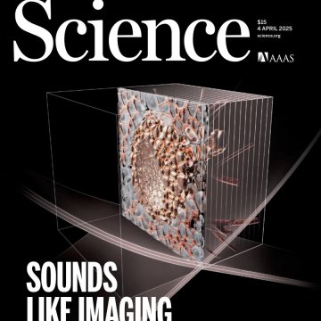 Science USA-2025.04.04 电子版PDF