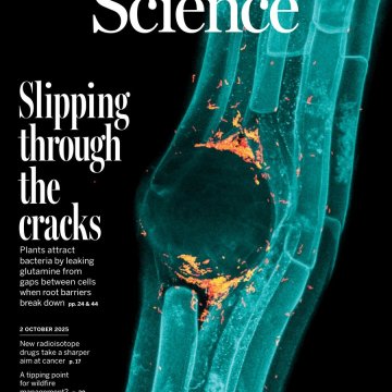 Science USA-2025.02.10 电子版PDF