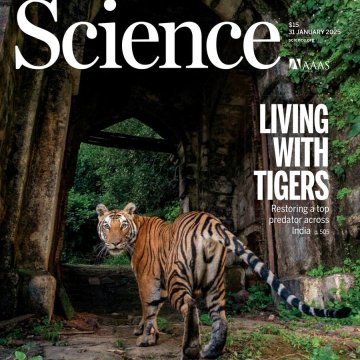 Science USA-2025.01.31 电子版PDF