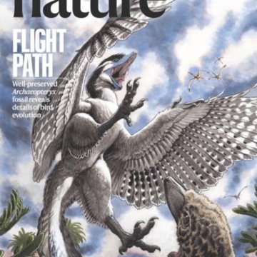 Nature magazine-2025.05.29 电子版PDF