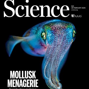 Science USA-2025.02.28 电子版PDF