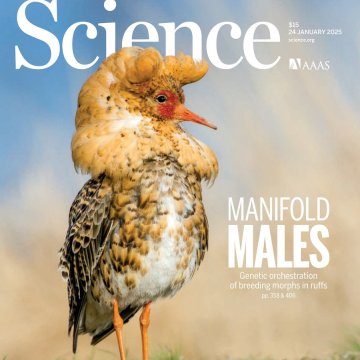 Science USA-2025.01.24 电子版PDF